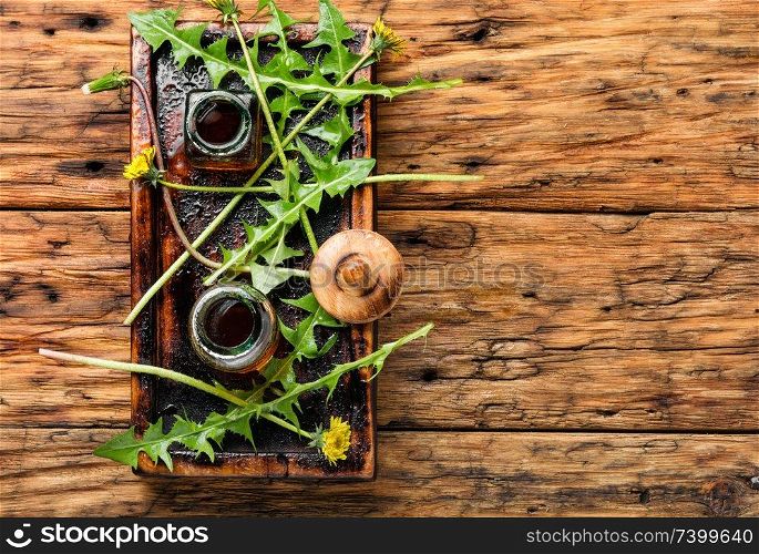 Medicinal plant dandelion or Taraxacum officinale.Herbal medicine.Healing herbs on wooden table. Dandelion tincture in bottle
