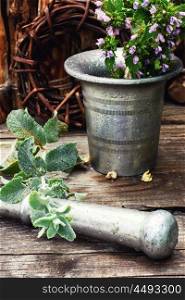 Medicinal plants and mortar. Iron mortar with pestle and medicinal plants in rustic style