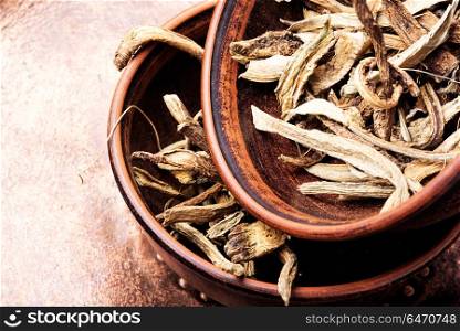 Medicinal root inula. Medicinal raw materials from roots and rhizomes inula.Root elecampane