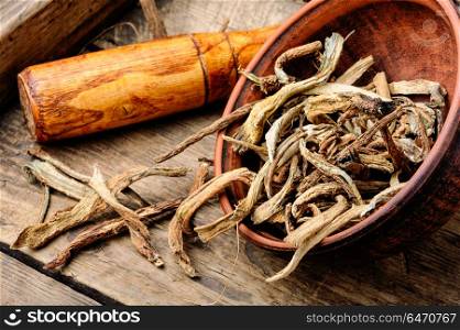 Medicinal root inula. Medicinal raw materials from roots and rhizomes inula.Root elecampane