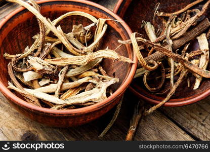 Medicinal root inula. Medicinal raw materials from roots and rhizomes inula.Root elecampane.Inula helenium