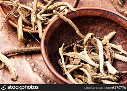 Medicinal root inula. Medicinal raw materials from roots and rhizomes inula.Root elecampane.Inula helenium