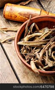 Medicinal root inula. Medicinal raw materials from roots and rhizomes inula.Root elecampane.Inula helenium
