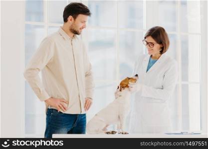 Medicine and pet care concept. Woman veterinarian wears white gown, spectalces, medic gloves, examines jack russell terrier, visit vet clinic. Man owner of ill dog gets consultancy of professional vet