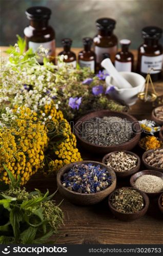 Medicine bottles and herbs background. Fresh medicinal, healing herbs on wooden
