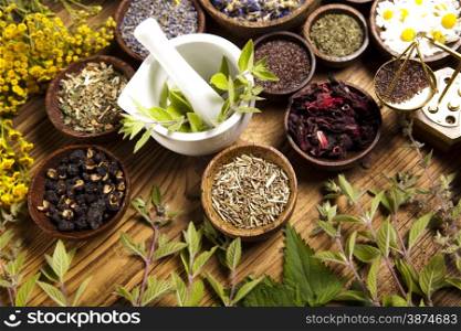 Medicine bottles and herbs, natural colorful tone