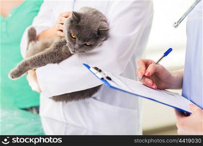 medicine, pet, animals, health care and people concept - close up of veterinarian doctor with british cat and assistant with clipboard taking notes at vet clinic