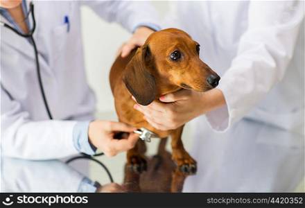 medicine, pet, animals, health care and people concept - close up of veterinarian doctor with stethoscope examining dachshund dog at vet clinic