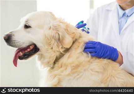 medicine, pet, animals, health care and people concept - close up of veterinarian doctor with syringe making vaccine injection to golden retriever dog at vet clinic