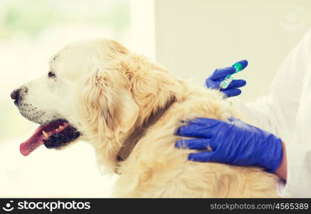 medicine, pet, animals, health care and people concept - close up of veterinarian doctor with syringe making vaccine injection to golden retriever dog at vet clinic