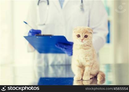 medicine, pet, animals, health care and people concept - close up of veterinarian doctor scottish fold kitten and clipboard at vet clinic