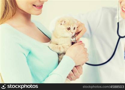 medicine, pet, animals, health care and people concept - close up of happy woman and veterinarian doctor with stethoscope checking scottish fold kitten up at vet clinic