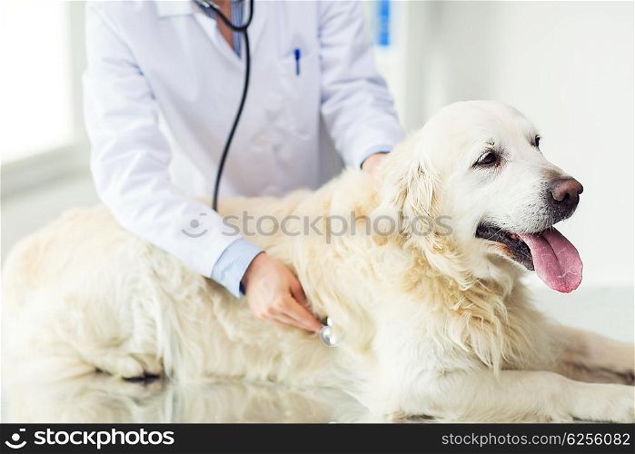 medicine, pet, animals, health care and people concept - close up of veterinarian or doctor with stethoscope checking up golden retriever dog at vet clinic