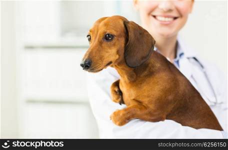 medicine, pet, animals, health care and people concept - close up of happy veterinarian or holding dachshund dog at vet clinic