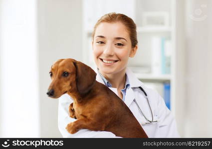 medicine, pet, animals, health care and people concept - happy veterinarian or holding dachshund dog at vet clinic