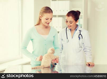 medicine, pet, animals, health care and people concept - happy woman and veterinarian doctor with stethoscope checking scottish fold kitten up at vet clinic