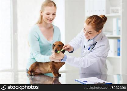medicine, pet, animals, health care and people concept - happy woman with dachshund and veterinarian doctor brushing dog teeth with toothbrush at vet clinic