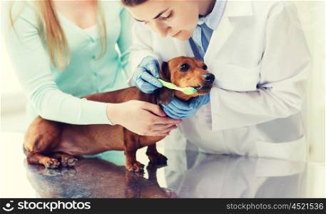 medicine, pet, animals, health care and people concept - woman with dachshund and veterinarian doctor brushing dog teeth with toothbrush at vet clinic