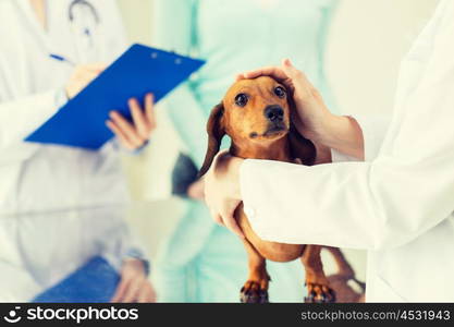 medicine, pet care and people concept - close up of dachshund dog and veterinarian doctor with clipboard taking notes at vet clinic