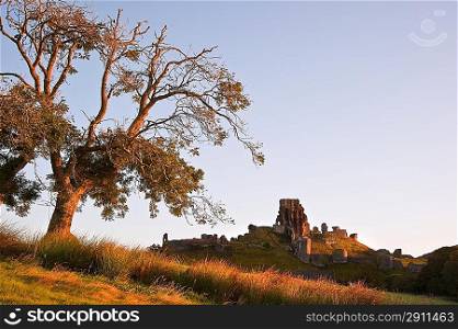 Medieval castle ruin on Autumn Fall morning