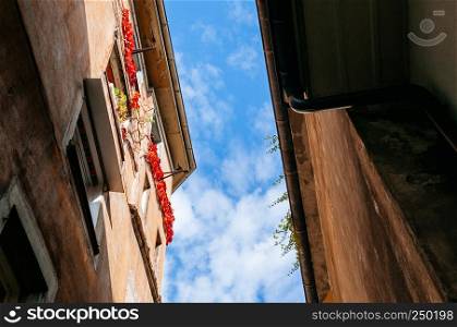 Medieval classic building with flower window against blue sky in old town Bern, Switzerland under beautiful sunlight