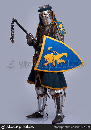 Medieval knight isolated on grey background.