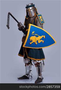 Medieval knight isolated on grey background.