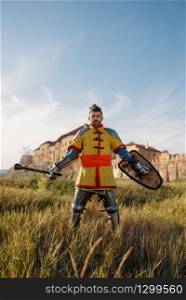 Medieval knight poses in armor opposite the castle, great tournament. Armored ancient warriors in armour posing in the field