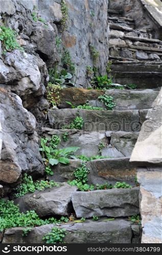 Medieval staircase overgrown with weeds in the Old Town of Veliko Tarnovo in Bulgaria