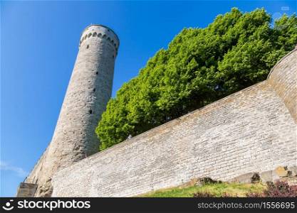 Medieval Toompea castle in old town in Tallinn in a beautiful summer day, Estonia