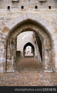 Medieval Valentre bridge in Carhors in southwest France