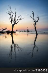 meditative seascape at Boneyard Beach on Bull Island in South Carolina at sunrise
