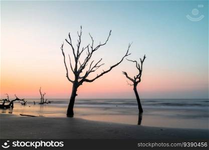 meditative seascape at Boneyard Beach on Bull Island in South Carolina at sunrise