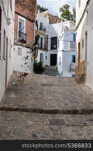 Mediterranean alley way between old houses and buildings