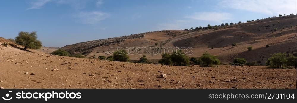 Mediterranean desert landscape with cows