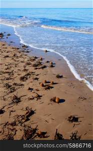 Mediterranean Posidonia beach in alicante Denia at Spain