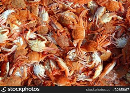 Mediterranean red crab pattern seafood market texture