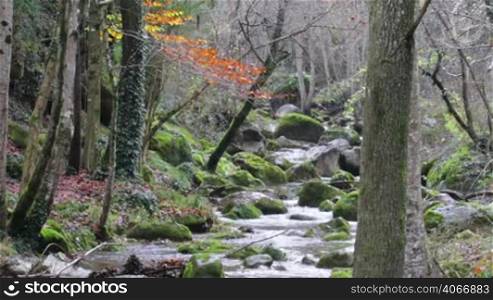 Mediterranean River Cascades in Autumn Beautiful and awesome winding creek. Mighty and meandering stream under the rain in Fall. Natural landscape of the Garrotxa, Girona.
