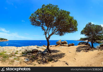 Mediterranean sea rocky coast summer panorama with pine trees, big stones and footpath  near Tamariu bay, Costa Brava, Catalonia, Spain .