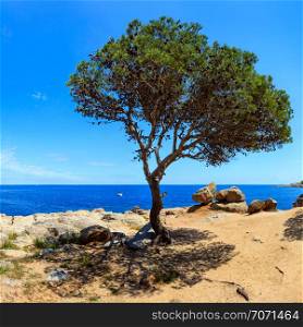 Mediterranean sea rocky coast summer view with pine trees, big stones and footpath (near Tamariu bay, Costa Brava, Catalonia, Spain).