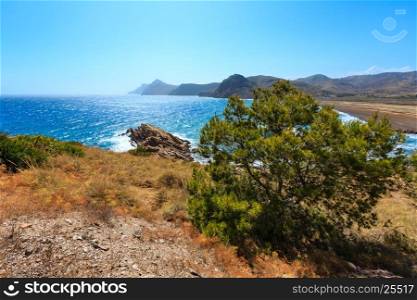 Mediterranean sea summer coastline view with beach and pine tree in front(Portman bay, Costa Blanca, Spain).