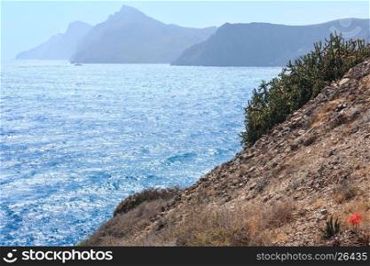 Mediterranean sea summer rocky coast view with blossoming cactus plant (Portman, Costa Blanca, Spain).