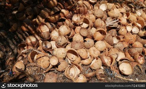 Medium close up shot of a pile of coconut shells on the ground being prepared for processing into charcoal in the Philippines.