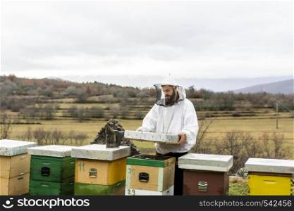 medium shot man checking bees