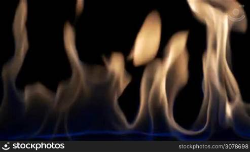 Medium shot of fire flames at normal speed