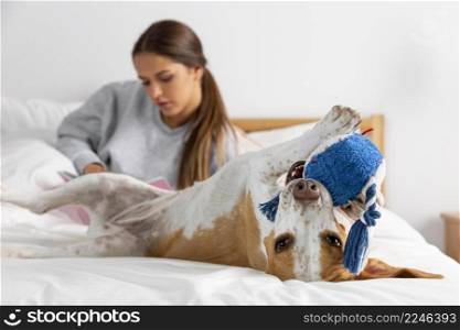 medium shot teen with dog bed