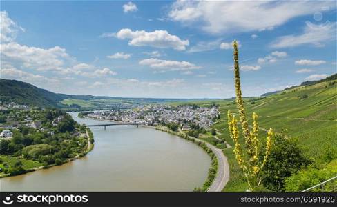 Mehring on the Moselle Germany Europe.. Mehring on the Moselle Germany Europe