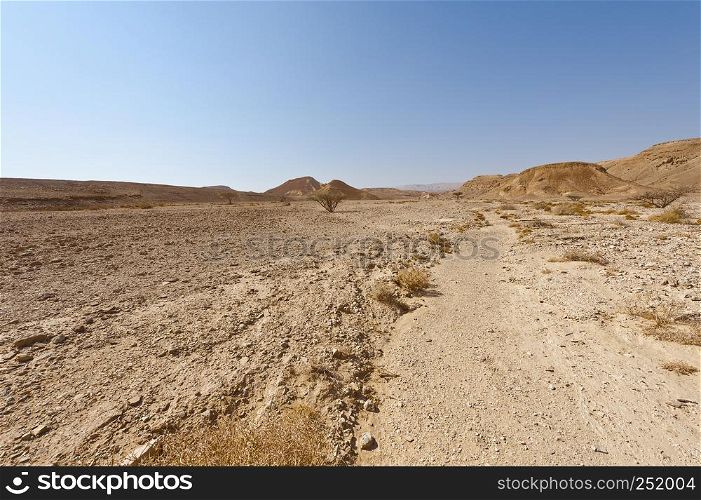 Melancholy and emptiness of the rocky hills of the Negev Desert in Israel. Breathtaking landscape and nature of the Middle East.