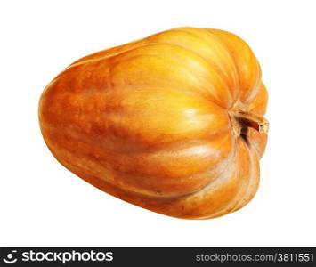 mellow pumpkin isolated on white background with path