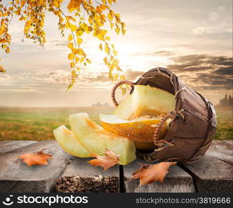 Melon in a basket on table on a nature background